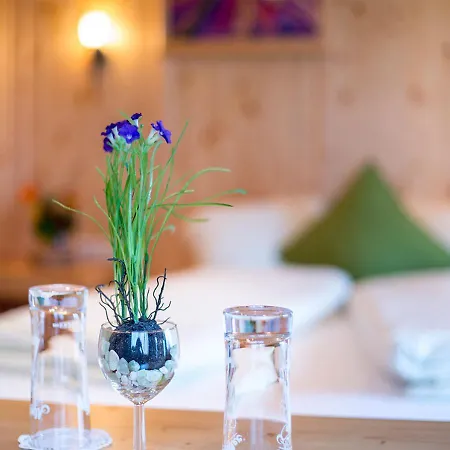 Guest house Enzian 3*