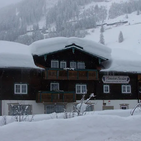 Gasthof Enzian 3*